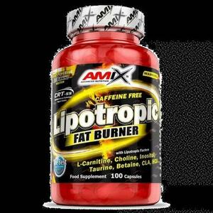 Amix Lipotropic Fat Burner 200 kapslí obraz