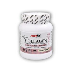 Amix Viscofan Collagen Drink 300g - Chocolate obraz