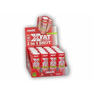 Amix X-Fat 2 in 1 Shot Box 20x60ml - Fruity obraz