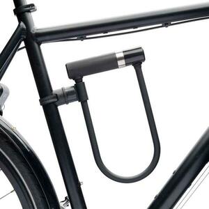 Axa Newton UL300mm obraz