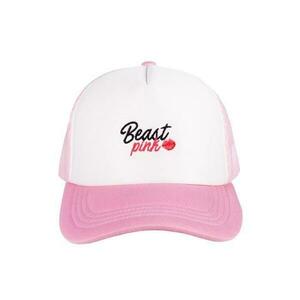 BeastPink Kšiltovka Panel Cap Baby Pink POUZE růžová (VÝPRODEJ) obraz