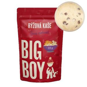 Big Boy Rýžová kaše Sweet and Salty Slaný karamel 350 g - Slaný karamel obraz