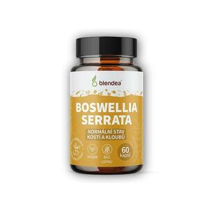 Blendea Boswellia Serrata 60 kapslí obraz