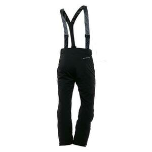 Blizzard Leogang black obraz