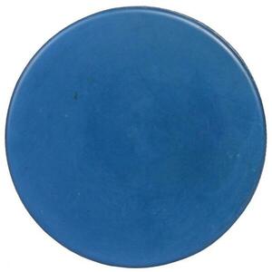 Blue style hokejový puk - senior obraz