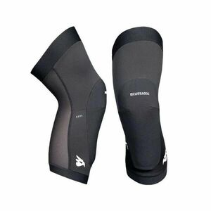 BLUEGRASS Aura - L obraz