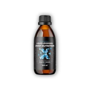 BrainMax Lipozomální Kloubní výživa Acti-Joint 250ml obraz