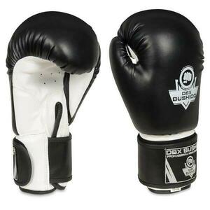 BUSHIDO Boxerské rukavice DBX ARB-407a - 6oz. obraz