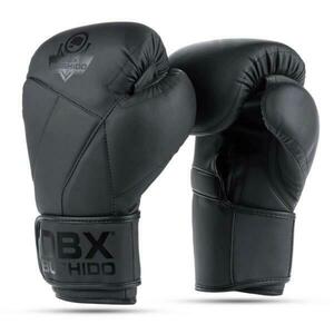 BUSHIDO Boxerské rukavice DBX B-2v15B - 16oz. obraz