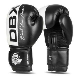BUSHIDO Boxerské rukavice DBX B-2v20 - 14oz obraz