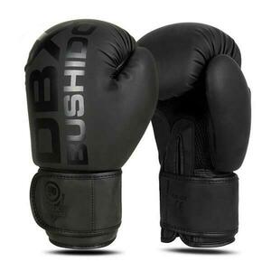BUSHIDO Boxerské rukavice DBX B-2v21 - 16oz. obraz