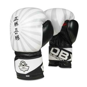 BUSHIDO Boxerské rukavice DBX B-2v8 - 14oz obraz