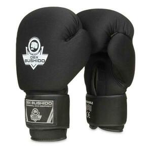 BUSHIDO Boxerské rukavice DBX DBX-B-W EverCLEAN - 10oz obraz