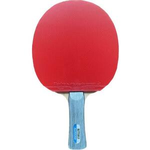 BUTTERFLY - Allround New + Flextra pálka - Pro děti obraz