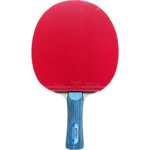 BUTTERFLY - Offensive New + Sriver L pálka - Pro děti obraz