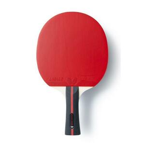 BUTTERFLY - Ovtcharov Striker pálka na stolní tenis - Konkávní obraz