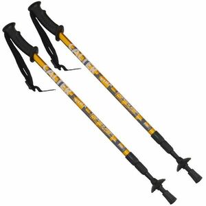 Calter Etna 3-dílné pár oranžové rekingové hole obraz