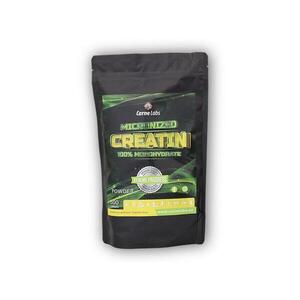 Carne Labs Creatine micronized 100% monohydrate 500g obraz