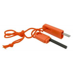 Cattara 13605 oranžové obraz