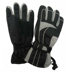 Dámské lyžařské rukavice Lucky B-4155 světle šedé - L/XL obraz