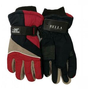 Bella Accessori 90093 červené obraz