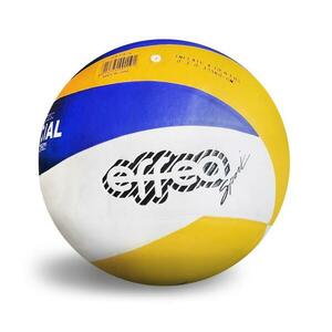 Effea Míč volejbalový 6838/5 obraz