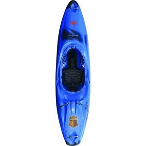 Exo Lion - Green/blue obraz