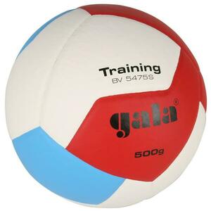 Gala 5475 S Training 500 g obraz