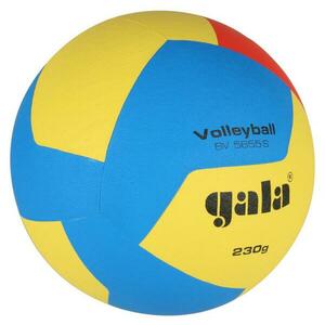 Gala 5655 S Training 230 g obraz