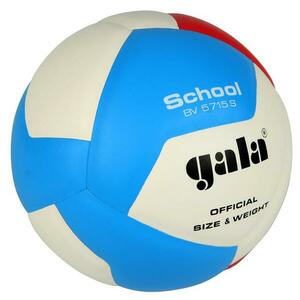 Gala BV 5715 S School obraz