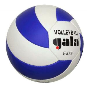 Gala Easy 5083S volejbalový míč obraz