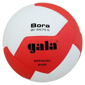 Gala Míč volejbal Bora 10 BV5675S obraz