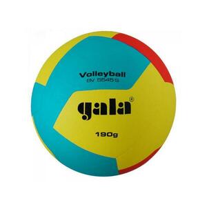 Gala Míč volejbal BV 5545 S obraz