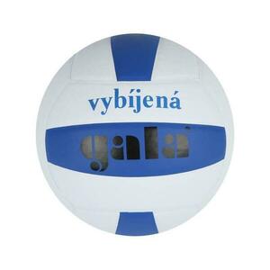 Gala Míč vybíjená BV4061S obraz