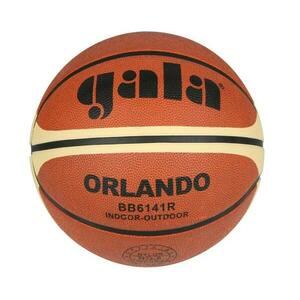 Gala Orlando 6 basketbalový míč obraz