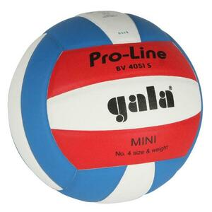 Gala Pro Line 4051 S volejbalový míč obraz