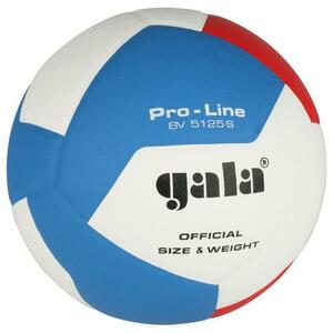 Gala Pro Line BV 5125S obraz