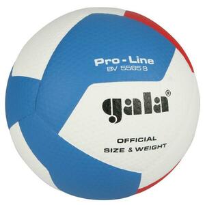 Gala PRO LINE BV 5585 S obraz