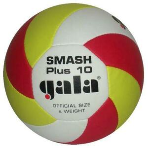 Gala Smash Plus 10 beachvolejbalový míč obraz
