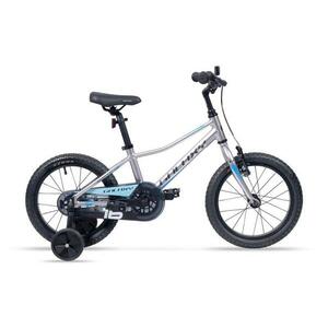 Galaxy Sputnik 16 Stříbrné obraz