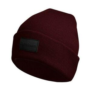 GymBeam Čepice Polar Beanie Burgundy - uni obraz