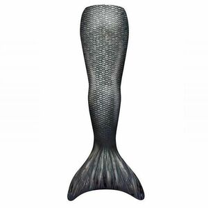 mořský princ DELFI kluci - S obraz