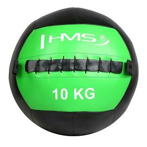 HMS Wall ball WLB 10 kg obraz
