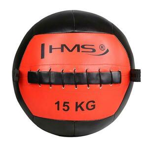 HMS Wall ball WLB 15 kg obraz
