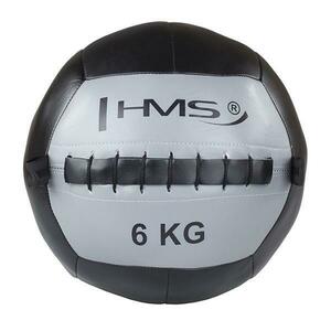 HMS Wall ball WLB 6 kg obraz