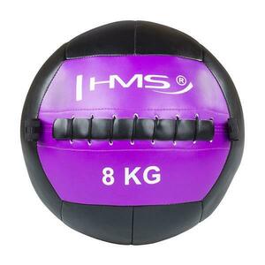 HMS Wall ball WLB 8 kg obraz