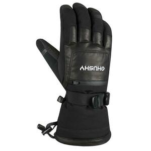 Husky Edin - M obraz