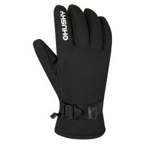 Husky Elix - XL obraz