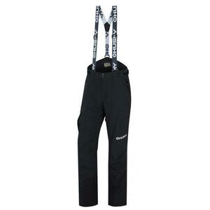 Husky Gili M - M obraz