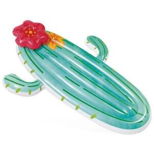 Intex Nafukovací lehátko 58793 CACTUS FLOAT 185x140 cm obraz